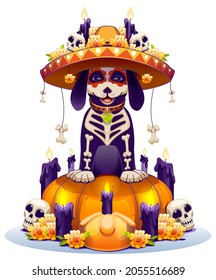 Skeleton dog and pumpkin lantern symbol holiday day of dead in mexico. Dia de Muertos mexican halloween. Vector cartoon illustration isolated on white