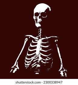 Skeleton Drawing Illustration Black White