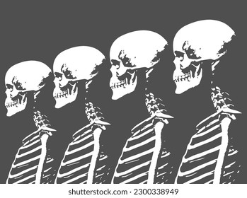 Skeleton Drawing Illustration Black White