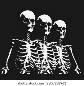 Skeleton Drawing Illustration Black White
