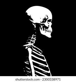 Skeleton Drawing Illustration Black White