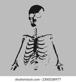 Skeleton Drawing Illustration Black White