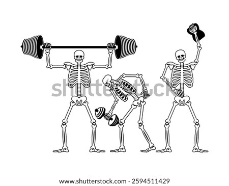 Skeleton and dumbbell. Skeletons and barbell and kettlebell. Skull and bones and sport. Athletic dead man. Fitness bones 