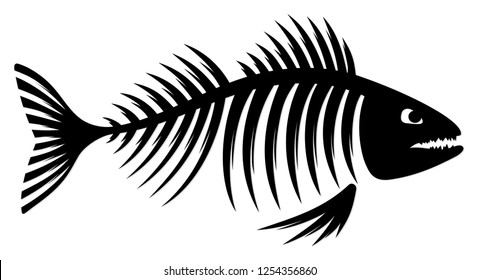 Skeleton of fish. 