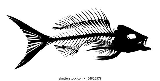 Download Fish Skeleton Silhouette Images Stock Photos Vectors Shutterstock