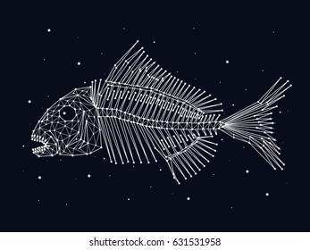 Skeleton of fish, constellation, stars, vector