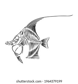 skeleton of fish. sketch. skeleton of a prehistoric fish vector sketch illustration
