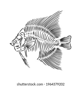 Skelett von Fischen. Skizze. Skelett einer prähistorischen Fisch-Vektorgrafik