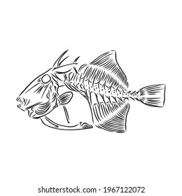 skeleton of fish. sketch. skeleton of a prehistoric fish vector sketch illustration