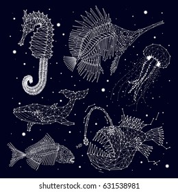 Skeleton Of Fish, Whale, Jellyfish, Hunter, Predator, Sea Horse, Porcelain, Constellation, Stars, Space, Vector