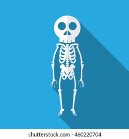 Skeleton flat icon illustration isolated vector sign symbol