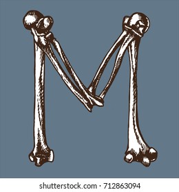 Skeleton font collection. Letter M made from bones. Vector hand drawn lettering for your scary or medical design.