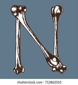 Skeleton font collection. Letter N made from bones. Vector hand drawn lettering for your scary or medical design.