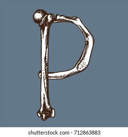 Skeleton font collection. Letter P made from bones. Vector hand drawn lettering for your scary or medical design.