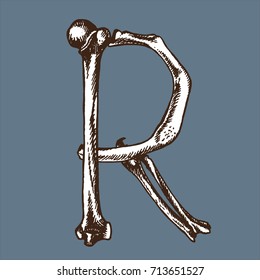 Skeleton font collection. Letter R made from bones. Vector hand drawn lettering for your scary or medical design.