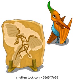 Skeleton fossil of a dinosaur and baby pterodactyl. Vector illustration.