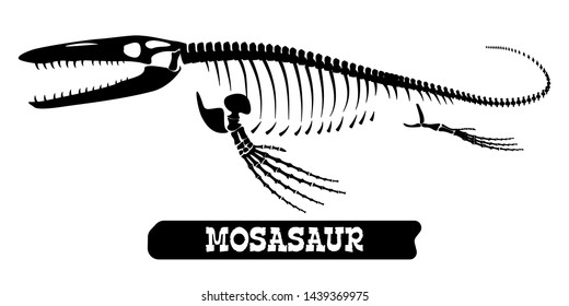 Skeleton Of A Fossil Waterfowl Dinosaur. Mosasaur. Vector