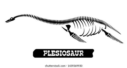 Skeleton of a fossil waterfowl dinosaur. Plesiosaur. Vector