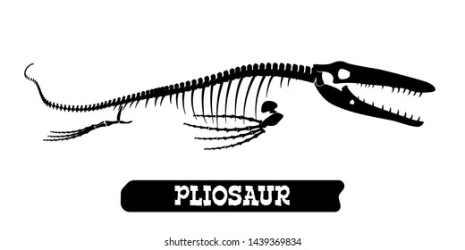 Skeleton of a fossil waterfowl dinosaur. Pliosaur. Vector