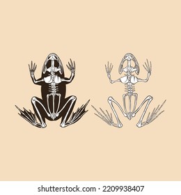 Skeleton frog vector illustration animal
