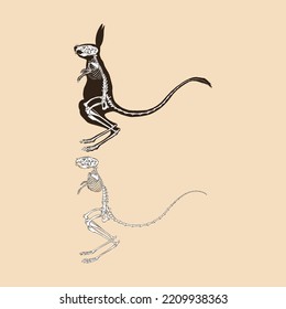 Skeleton greater egyptian jerboa vector illustration animal