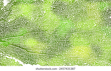 Skeleton green leaf background. Not AI. Vector illustration.