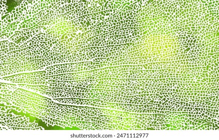 Skeleton green leaf background. Not AI. Vector illustration.