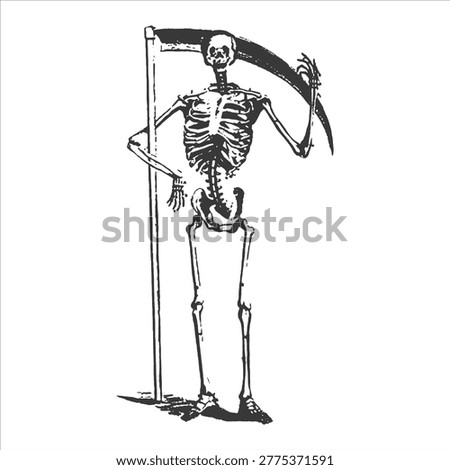 Skeleton grim reaper with scythe illustration skeleton illustration halloween standing abstract