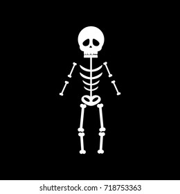 Skeleton halloween on the black background. Vector illustration