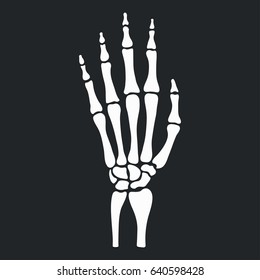 Skeleton Hand With Bones. Vector Illustration.