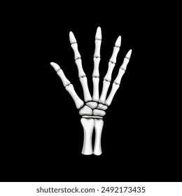 Skeleton hand gesture, isolated vector skeletal arm with long, slender fingers stretching in an eerie open-palm gesturing, creating an otherworldly and spectral Halloween atmosphere