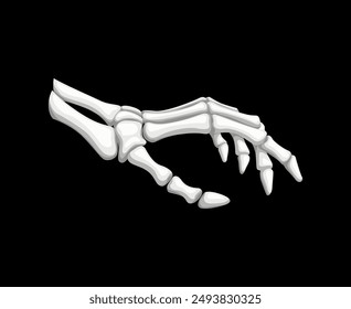 Skeleton hand gesture, isolated vector bony palm. Skeletal arm with long, slender fingers reaching out or touching. Macabre reminder of mortality, eerie anatomical structure for Halloween designs