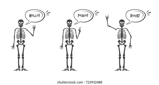 Skeleton hand gestures set. Human skeleton posing isolated on white background vector illustration