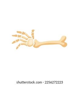 Skeleton hand reaching out vector illustration. Cartoon drawing of funny spooky Halloween decoration isolated on white background. Halloween, fantasy concept