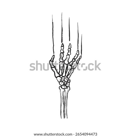 Skeleton hand is scratching the wall in black brush stroke texture isolated on white. Hand drawn vector sketch illustration in vintage charcoal ink. Horror logo design, quest room, happy Halloween