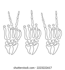 skeleton hand set of gestures, drawing, vector illustration