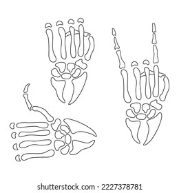 skeleton hand set of gestures, drawing, vector illustration