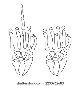 skeleton hand set of gestures, drawing, vector illustration