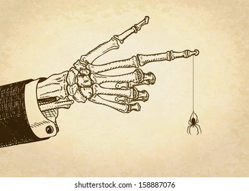 Skeleton hand with spider. Vector illustration, eps10.