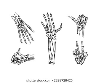 Skeleton hands doodle hand-drawn cartoon with gesture vector illustration.