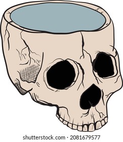 Skeleton Head Vector Illustration, Skull Art, Isolated On White Background. 