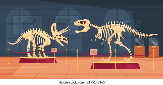 The skeleton of a herbivorous dinosaur on a pedestal in a museum. The skeleton of foot-and-mouth predators and herbivores. Archaeological excavations of dinosaur fossils. Study of ancient animals