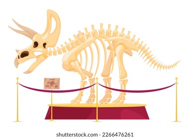 The skeleton of a herbivorous dinosaur on a pedestal in a museum. The skeleton of foot-and-mouth predators and herbivores. Archaeological excavations of dinosaur fossils. Study of ancient animals