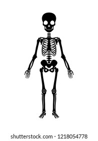 Skeleton Human Anatomy Vector Halloween Black Stock Vector (Royalty ...