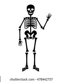 Skeleton Human Anatomy. Vector Halloween Black Skeleton Isolated On White