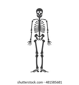 Skeleton human anatomy. Vector halloween black skeleton isolated on white.