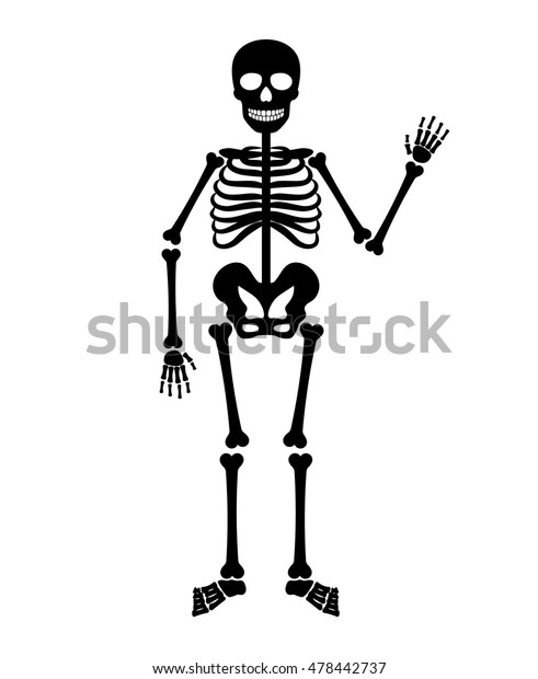 Skeleton Human Anatomy Vector Halloween Black Stock Vector (Royalty ...