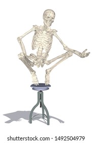 Skeleton human body, skull, and anatomical bones sit on bar stools, realistic style with perspective view and white background. -vector