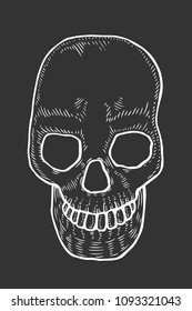 Skeleton of the human head skull, vintage engraved illustration. Isolated on black