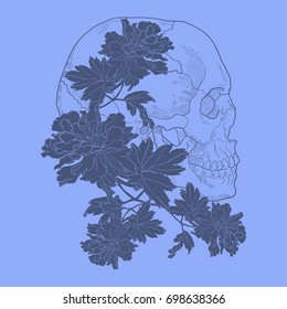 Skeleton of the human head, vintage engraved illustration with floral design. Blue background.